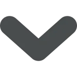 Chevron Down SVG Icon